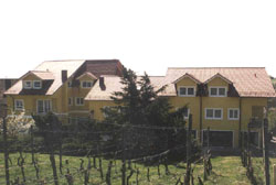 Gasthaus umgeben von Weinbergen
